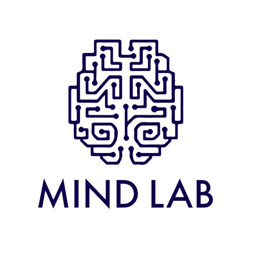 The Mind Lab